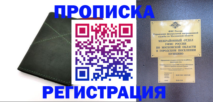прописка в квартире в Оленегорске